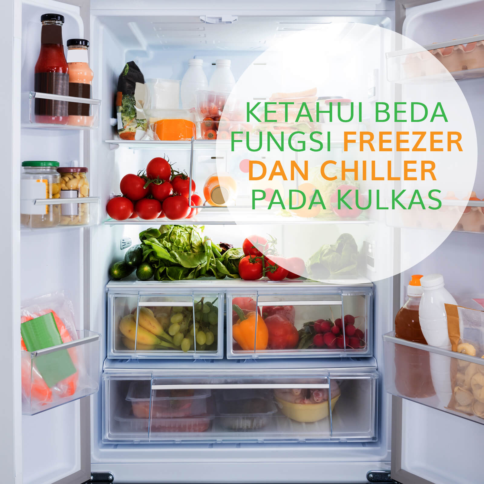 Image KETAHUI PERBEDAAN FUNGSI FREEZER DAN CHILLER PADA KULKAS